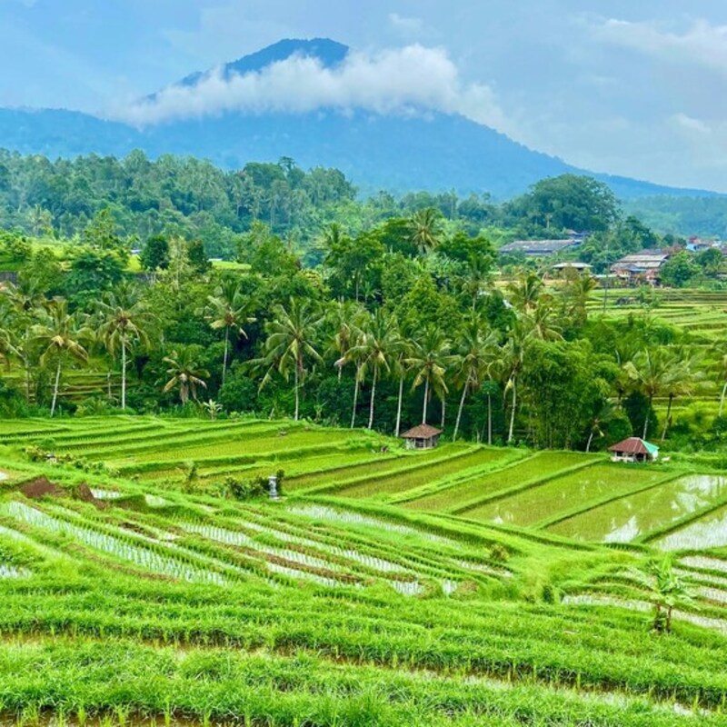 Indonesia